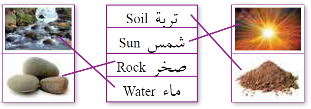 أسئلة العلوم للصف الثاني